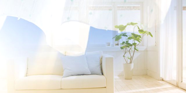 住まいで人気が高いのは賃貸マンション。